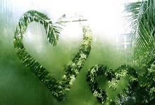 2024年中超联赛在哪里看直播？这些平台和观赛方式值得关注